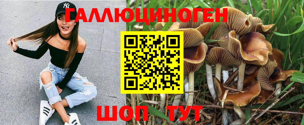 Галлюциногенные грибы GOLDEN TEACHER Елизово