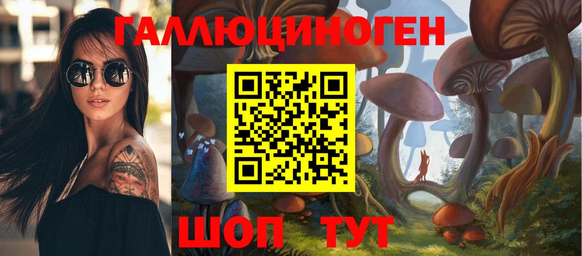 Елизово  Псилоцибиновые грибы Cubensis  Псилоцибиновые грибы мухоморы  дарнет шоп  Вход с VPN 
